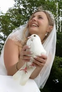 Heavens a Dove, doves for weddings, funerals, all occasions. 1102950 Image 9